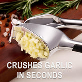 Stainless steel Garlic press